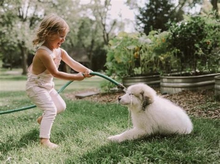 Perfectly-pleasing Pooch Pics with the Bunny!