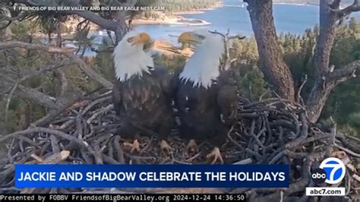 Presidential candidate Joe Walsh can’t escape Eagles shadow