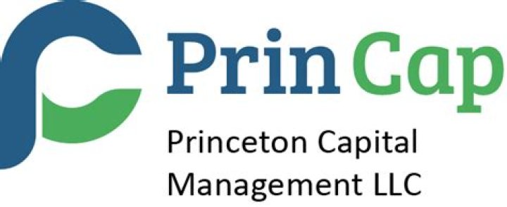 
Princeton Capital Management LLC (Red Bank)
