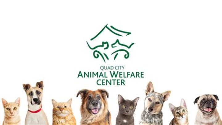 Quad City Animal Welfare Center waives adoption fees for veterans