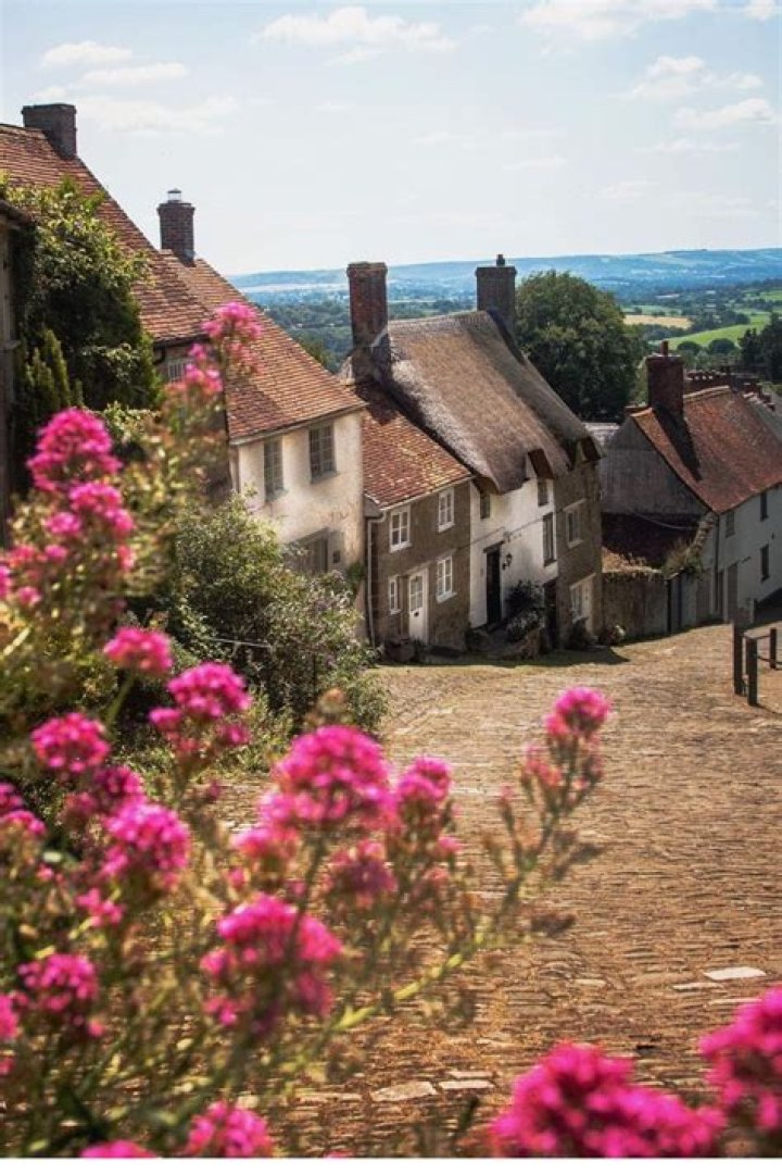 Quaint Dorset village ruined by 18 traffic jams a week after bumbling council diverts lorries through it
