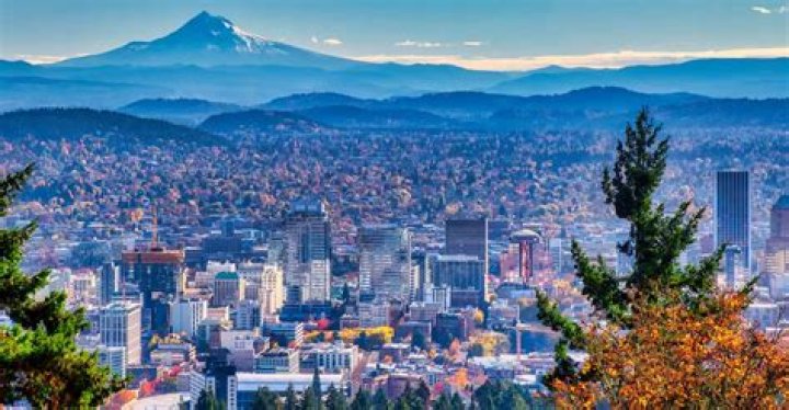 Real World Portland Where Are They Now?