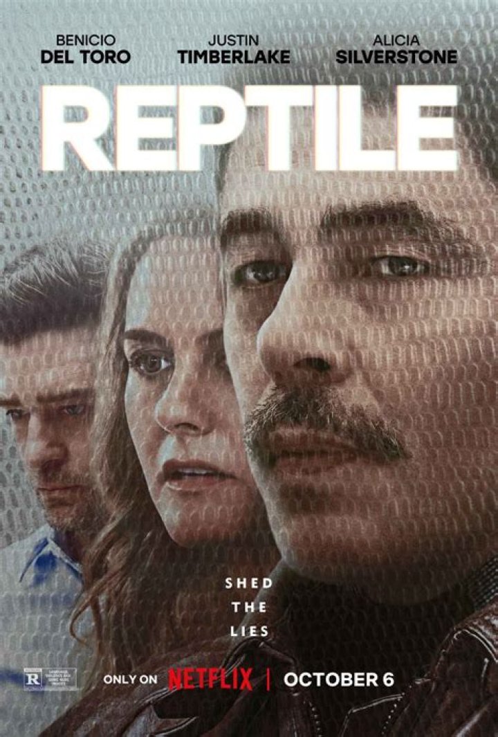 Reptile Ending Explained: Who Murdered Summer Elswick?
