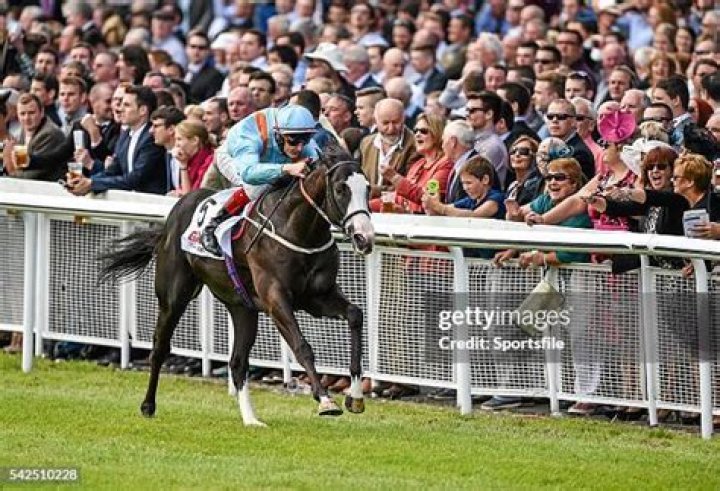 Richard Hannon's Kool Kompany heads the entries for Friday's bet365 Mile at Sandown
