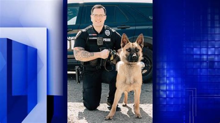 Rock Island Police Department announces new K-9
