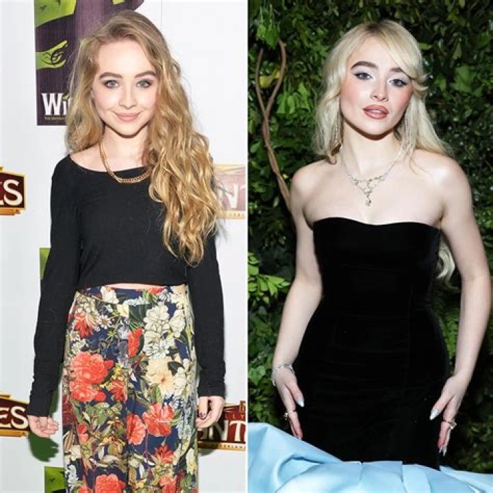 Sabrina Carpenter Nose: A Deep Dive Into Her Iconic Look