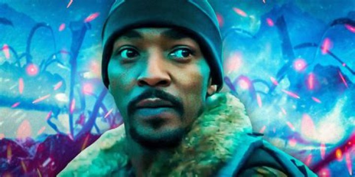 Sebastian Stan Wants to Do 48 Hours Remake with Anthony Mackie