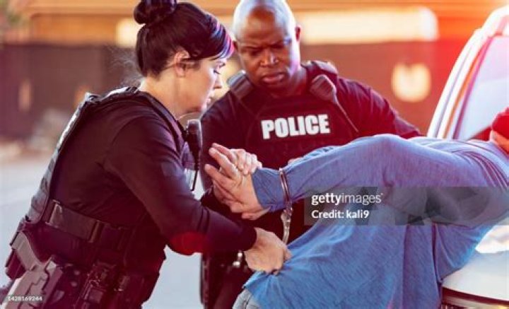 ‘See How Carelessly Officers Engage’: Chicago Police Sergeant Fired Four Years After Leading Raid at the Wrong Address and Handcuffing Innocent Naked Woman Getting Ready for Bed