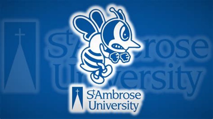 Service projects help SAU ‘bee the difference’