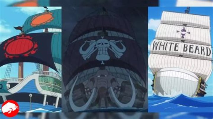 Setting Sail with Legends, A Look at the Iconic Ships of One Piece That Define Adventure and Fantasy on the High Seas