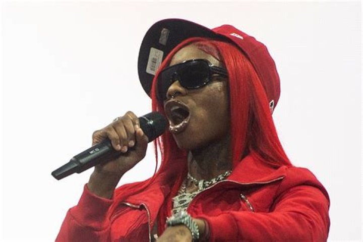 Sexyy Red Continues to Perform While Wild Brawl Breaks Out