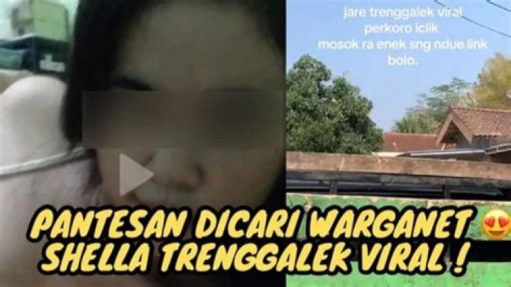 Shella Trenggalek viral video sparks controversy on internet; watch here