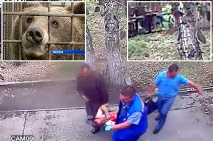 Shocking moment drunk idiot has his hand BITTEN OFF by a bear after jumping into its enclosure to try and give it milk
