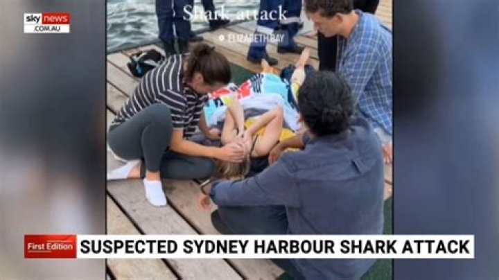 Simon Nellist Footage of Shark Attack at Sydney and his Autopsy Report