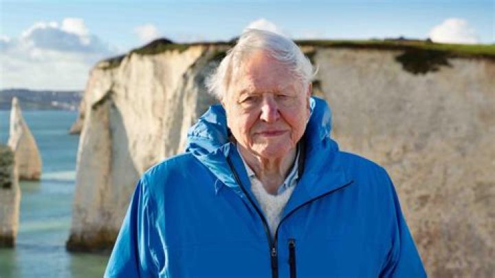 Sir David Attenborough - all the news, pictures and videos - The Sun