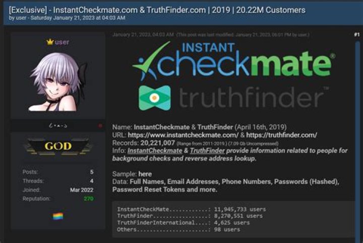 Snoops Truthfinder: Unraveling The Truth Behind Online Background Checks