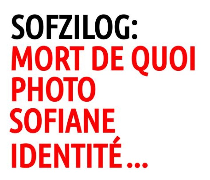 SofZilog: hommage à un YouTubeur réinformateur