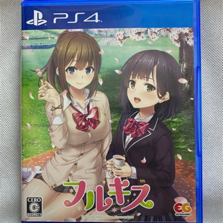 Steam Approves Completely Uncensored Adult Anime Game