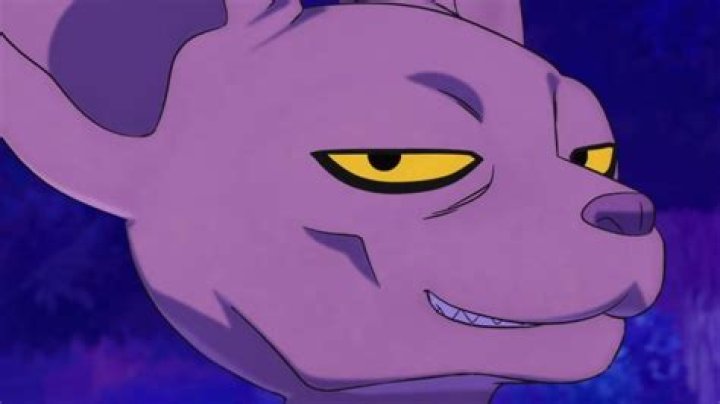 Super Hero Reveals First-Look at Beerus and Whis Comeback