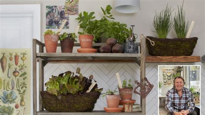 Take our fun quiz to find out how green-fingered you are in the garden