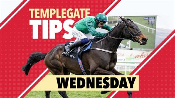 Templegate's racing tips: South African racing at Fairview - Betting preview for Wednesday