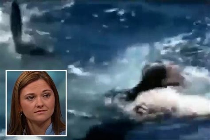 Terrifying moment great white shark bites woman’s leg clean off as rescuers try to haul her into boat
