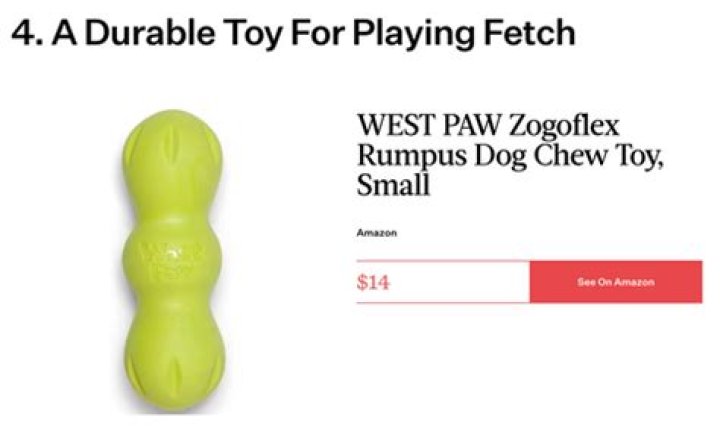 The 4 Best Toys For Dogs That Like To Shred