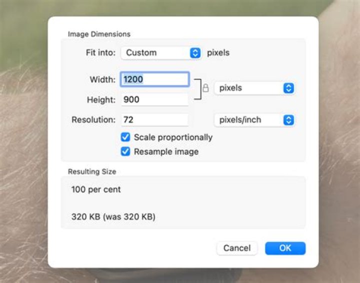 The Fastest Ways to Resize and Convert Images on Mac