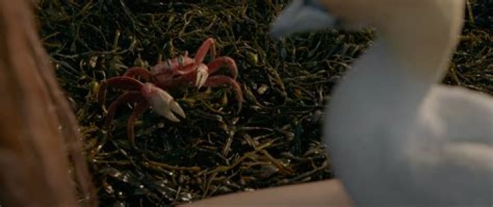 The Little Mermaid Trailer Reveals First Look at Sebastian and Scuttle