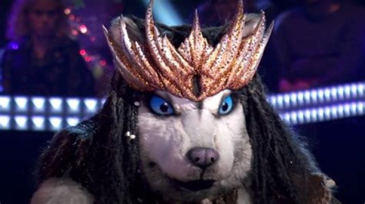 The Masked Singer’s Husky reveals his regret from Season 10 after unmasking