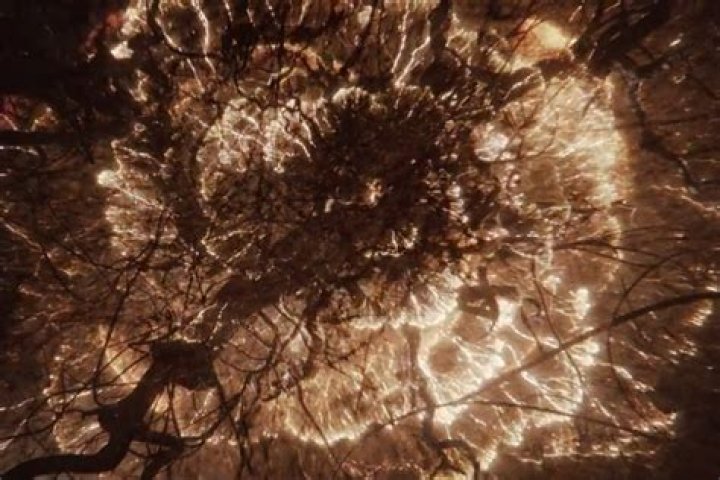 The OA season 2 ending: 8 questions we NEED answers to | Theories, season 3 future and more | NETFLIX
