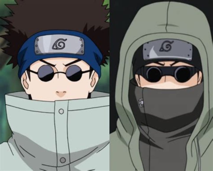 The Real Reason Why Shino Aburame Always Wear Glasses, Explained