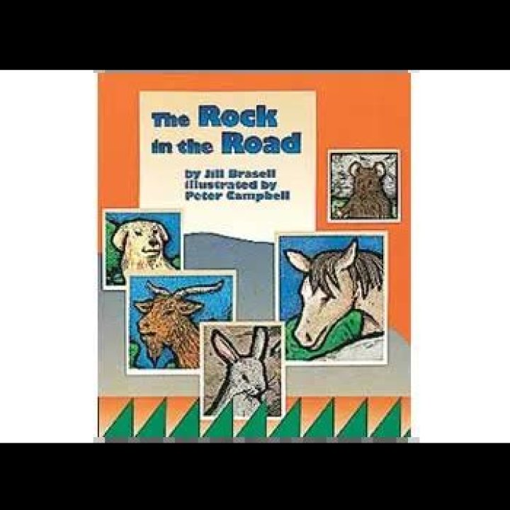 The Rock In The Road