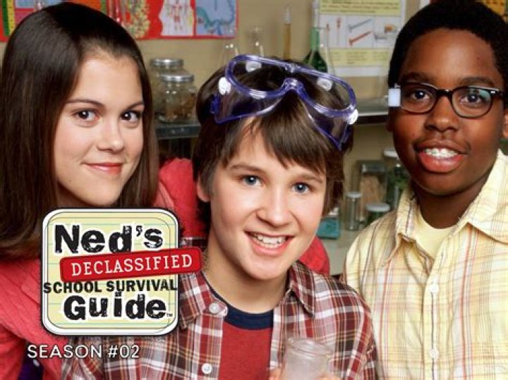 The Shameless Star You Forgot Was On Ned's Declassified
