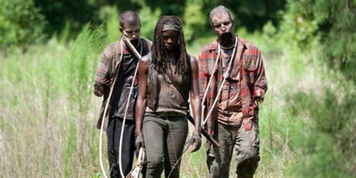 The Walking Dead Midseason Premiere: Who Are Michonne's Pets?