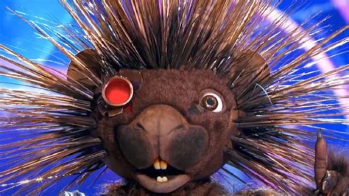 The Wildest Theory About Robopine From The Masked Singer