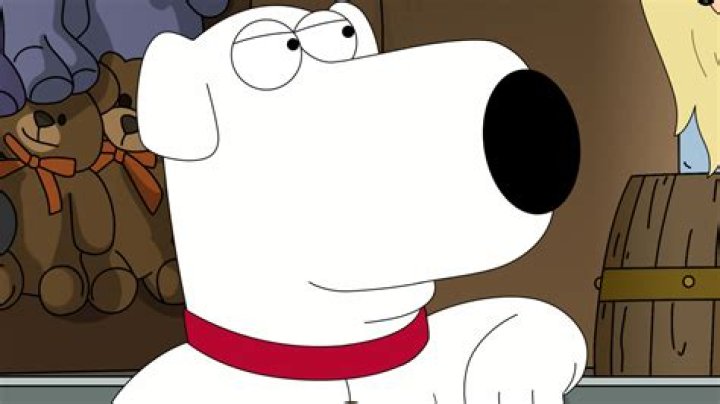 The Worst Things Brian Griffin Has Ever Done On Family Guy