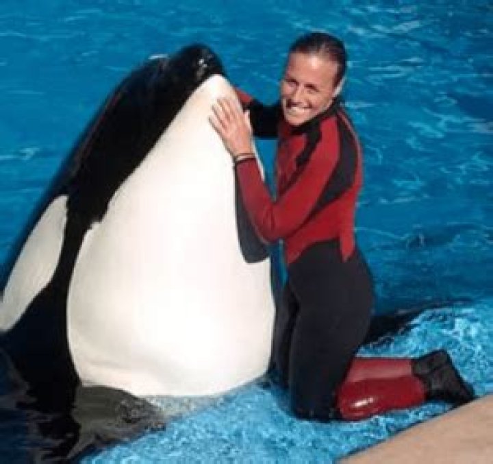Tilikum’s Shocking Encounter with Dawn Brancheau Caught on Camera