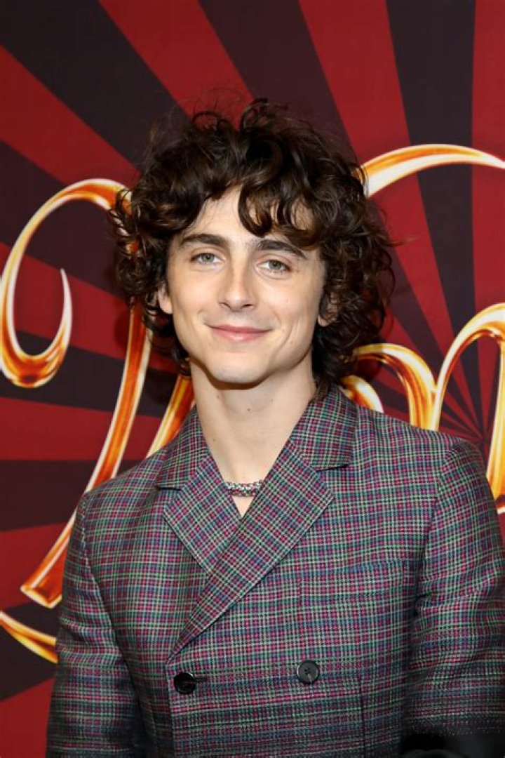 Timothée Chalamet: Biography, Actor, 