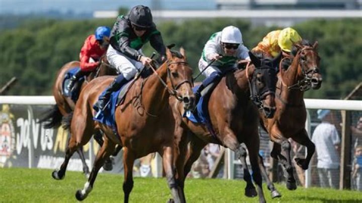 Today's FREE horse racing tips: Ascot, Pontefract, Brighton, Wolverhampton and Bath - Steve Mullen's betting preview for the racing this Wednesday, May 2