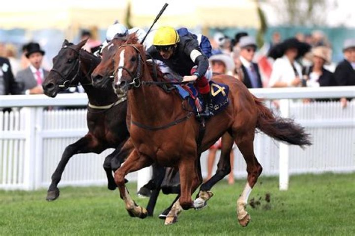 Today's horse racing results: Who won the 3.15 at Goodwood live on ITV?
