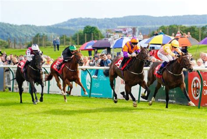 Today's horse racing tips: Yarmouth, Redcar and Newcastle betting guide
