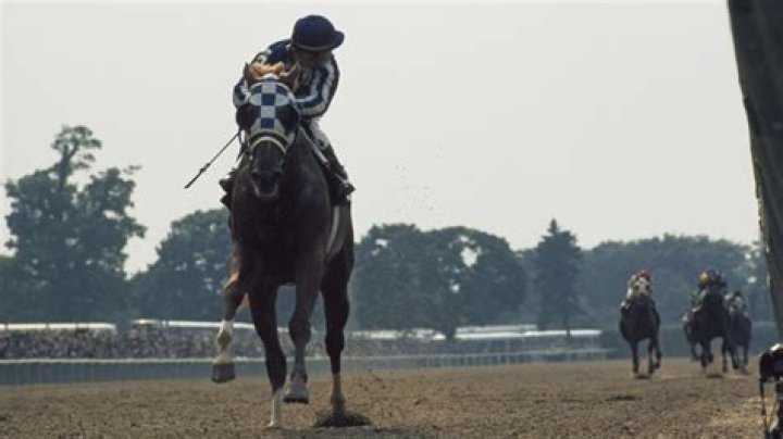 TONIGHT's Belmont Stakes race time and TV schedule: Justify hunting Triple Crown glory in New York