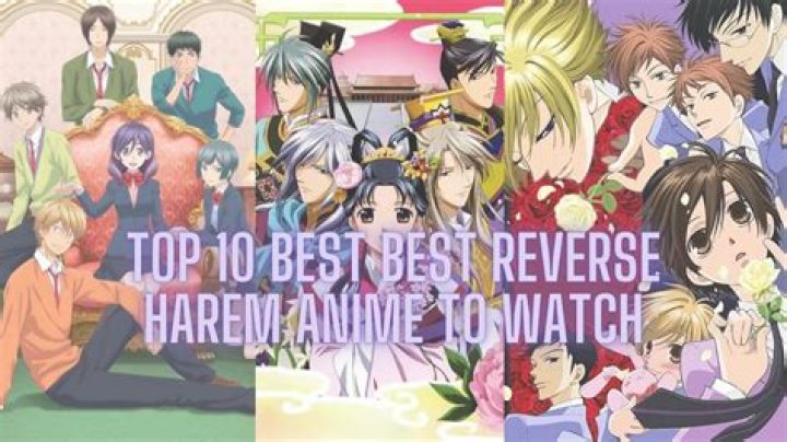 Top 10 Best Reverse Harem Anime That You Should Definitely Watch