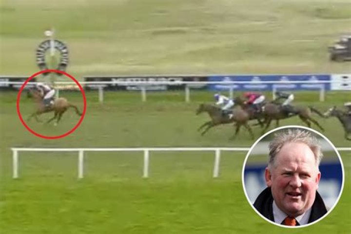 Trainer devastated as horse dies moments after winning biggest race of career