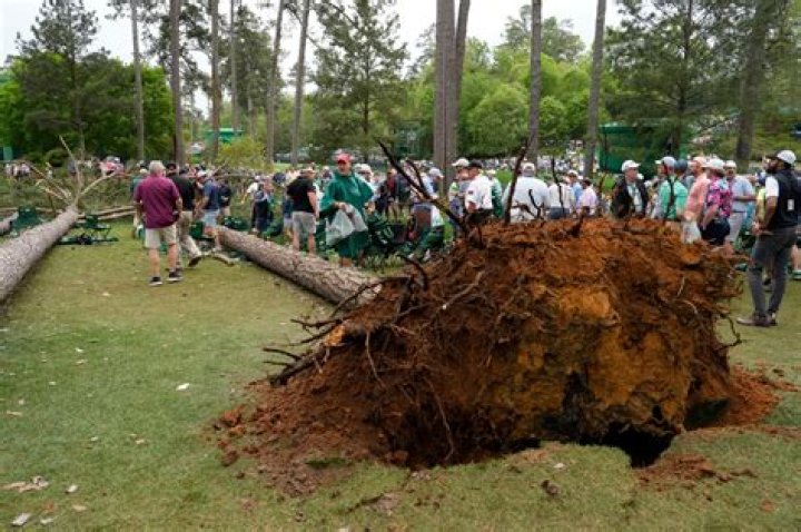 Trees fall near 17th Tee Box at 2023 Masters Tournament