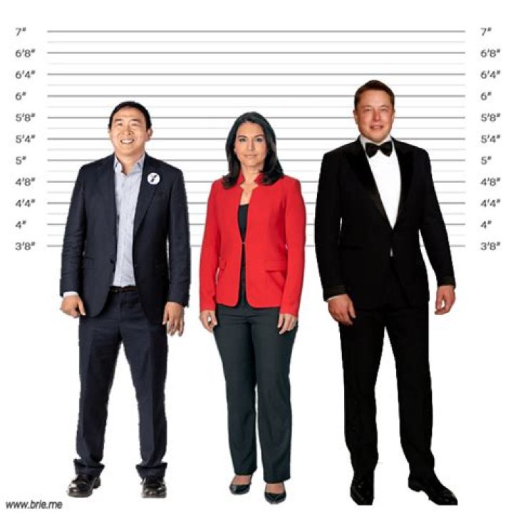 Tulsi Gabbard Age And Height: A Comprehensive Overview