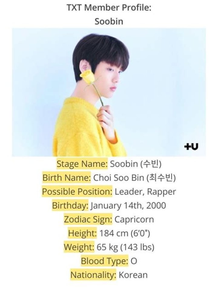TXT Members Profile: Complete Info