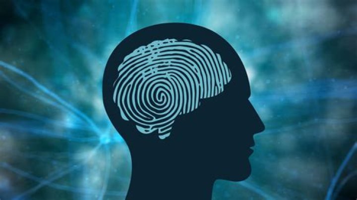 Understanding Criminal Minds: An In-Depth Look At Behavioral Analysis