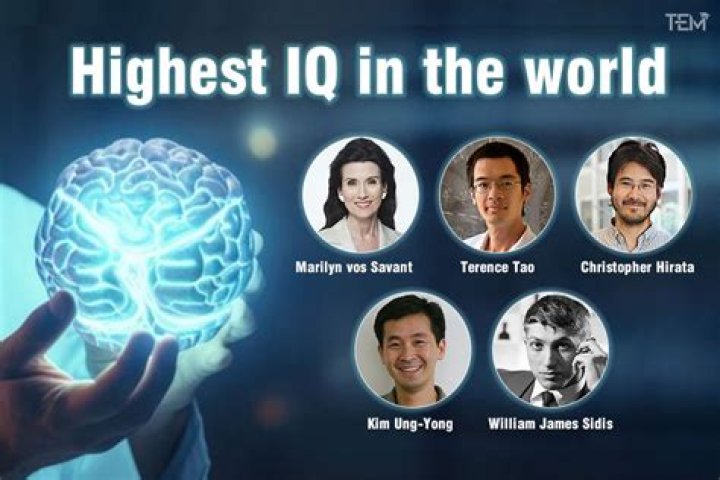 Unveiling The Secrets Of The Highest IQ In The World